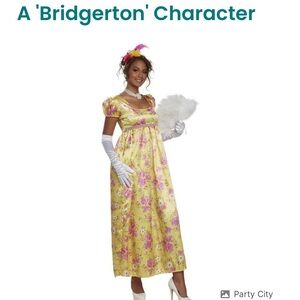 Regency / Bridgerton Dress / Gown Halloween Costume